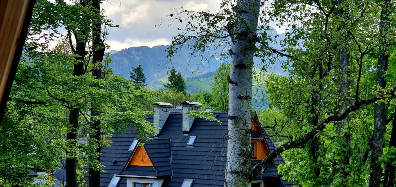 Vip Apartamenty Cristal Zakopane Eksteriør billede